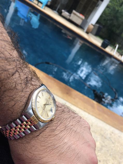 swim with Rolex datejust